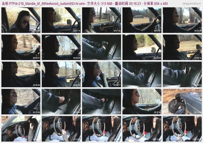 ptpdr-216_Mandie_bf_86fleetwood_custom093